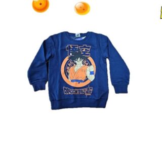 Sudadera infantil Dragon Ball 021