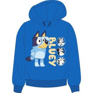 Sudadera infantil Bluey 086 2a/6a
