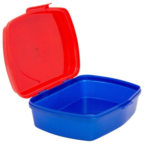 Sandwichera rectangular Hotwheels Blue Fire - Imagen 3