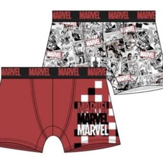 Lote 2 boxers adulto Batman