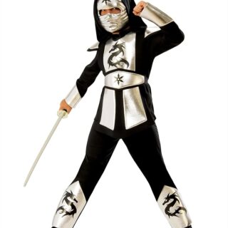 Disfraz Dragon Ninja Silver infantil