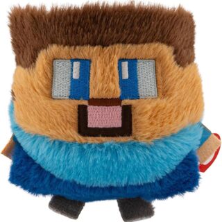 Ty B bouncer Steve Minecraft