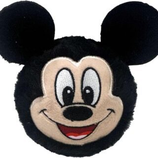 Ty B bouncer Mickey