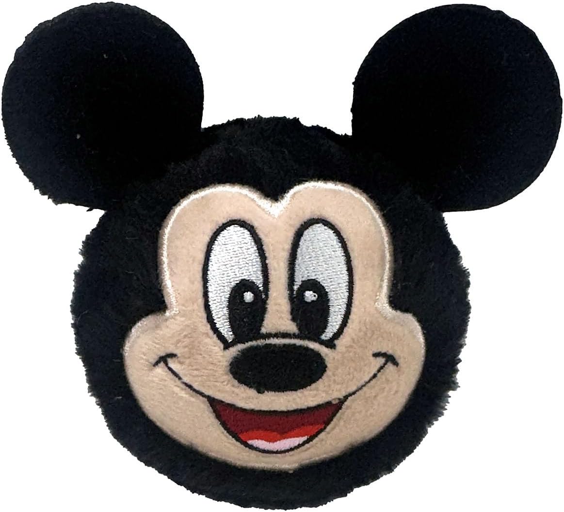 Ty B bouncer Mickey