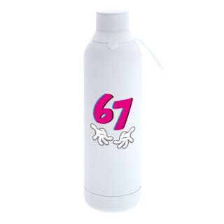 Botella termica Ice Six-Seven